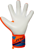 Reusch Attrakt Freegel Advance 5670035 2290 blue orange back